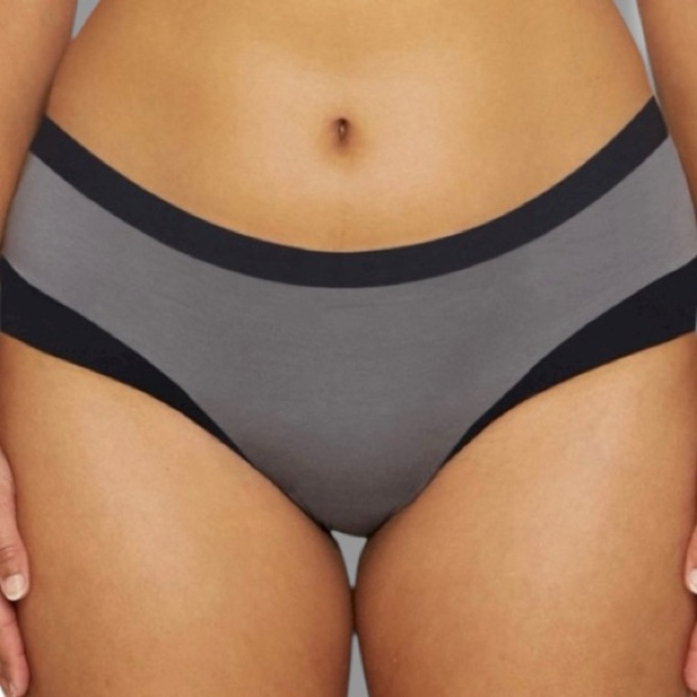 NWT Thinx Modal Slate Gray Moderate Absorbency Brief Size 4X